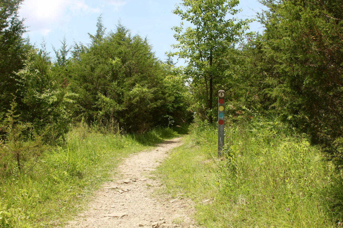 A nearby place called Bobcat Alley and how it's become safer for